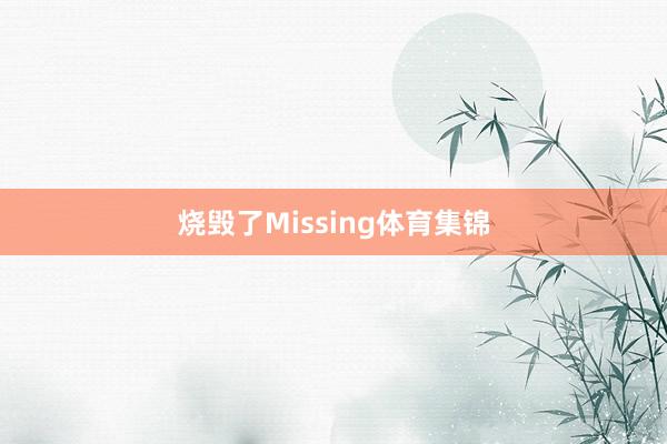 烧毁了Missing体育集锦