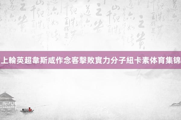 上輪英超韋斯咸作念客擊敗實力分子紐卡素体育集锦