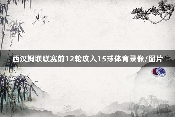 西汉姆联联赛前12轮攻入15球体育录像/图片