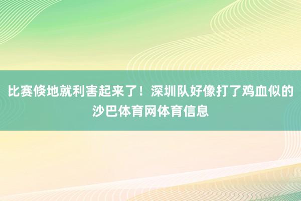 比赛倏地就利害起来了！深圳队好像打了鸡血似的沙巴体育网体育信息